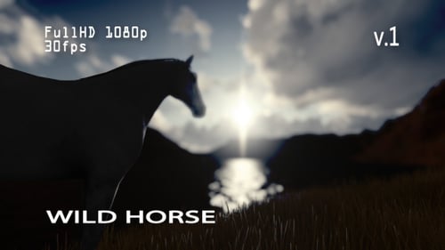 Wild Horse 1