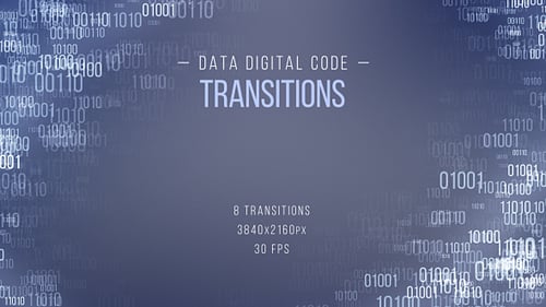 Data Digital Code Transitions