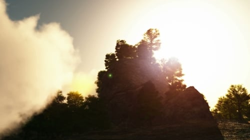 Rocks and Forest in Cloud Fog