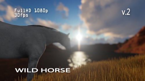 Wild Horse 2