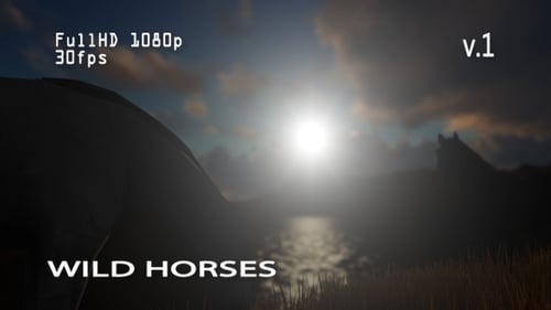 Wild Horses 1