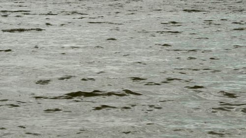 Waves on the Sea