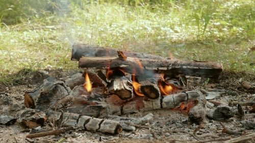 Bonfire in the Forest at the Day