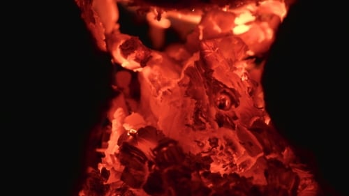 Bonfire at the Night in the Forest. Shot