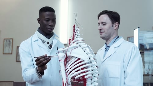 Doctors Analyzing Skeleton Model in Medical Setting
