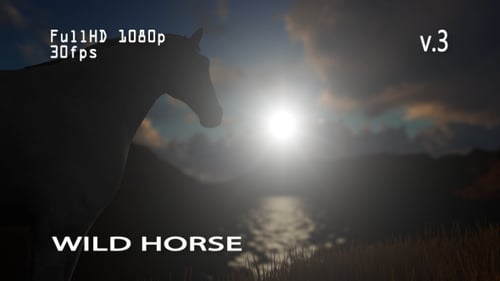 Wild Horse 3