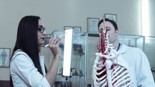 Medical Student in Anatomy Class