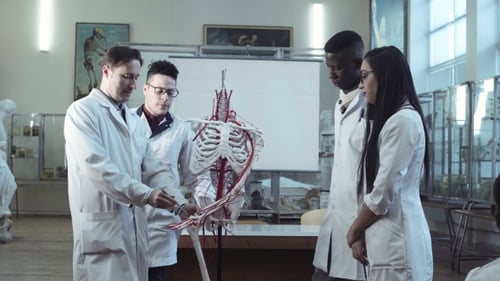 Medical Students Examining Human Skeleton in Classroom