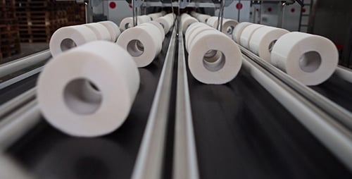 Toilet Paper Rolls on Conveyor Belt in Factory