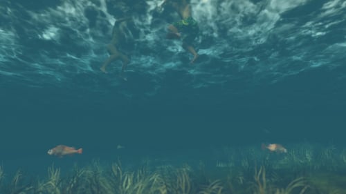 Unterwasser-Ansicht