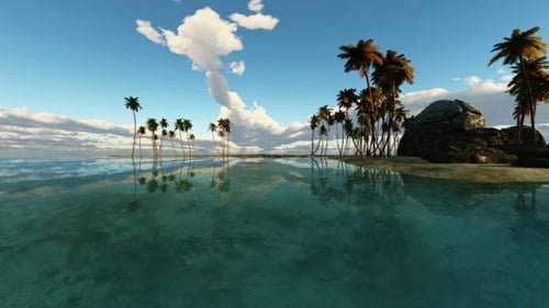 Tropical Island with Palms