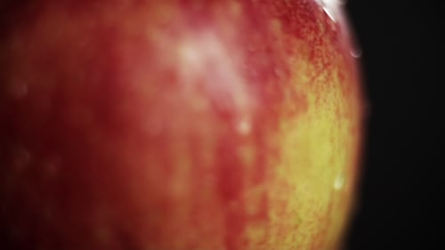Close Up of a Fresh Apple with Water Droplets