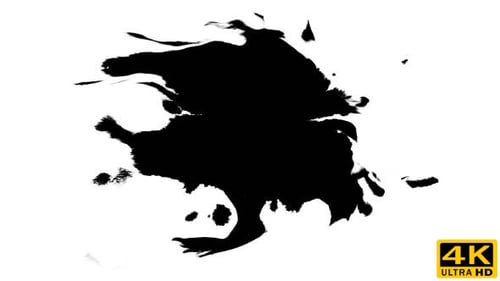 Ink Drops on Wet Paper 18