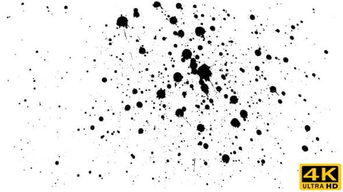 Abstract Black Ink Splatter Texture on White