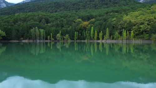 Aerial footage of a green lake with a reflection of clouds and trees