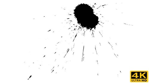 Ink Drop on Dry Paper 14