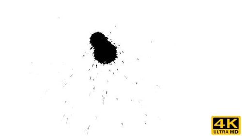 Ink Drop on Dry Paper 09