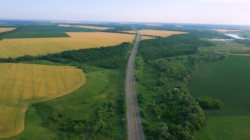 Aerial View Of Green Fields 19