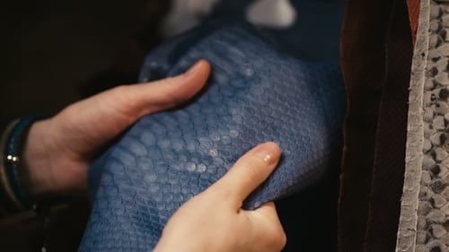Manos tocando el cuero de una serpiente pitón