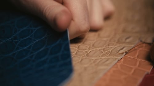 Mains touchant le cuir d'un serpent python