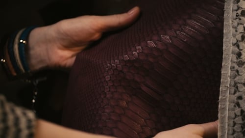 Manos tocando el cuero de una serpiente pitón