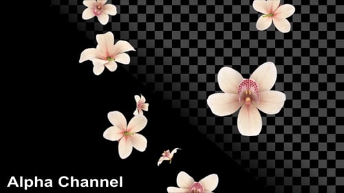 Elegant Falling Flowers Overlay
