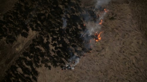Aerial View of Dry Grass Burning on the Farmland