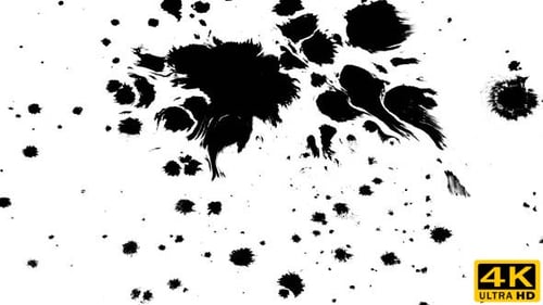 Ink Splatter Transition on White Background