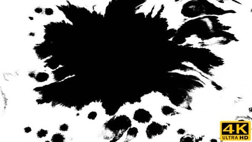 Inks Fast Flow From Center on Wet Paper 03