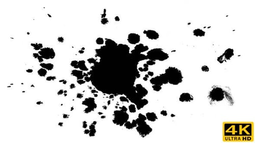 Several Ink Drops on the Wet Paper 03
