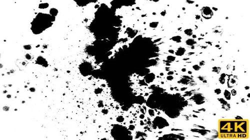 Ink Bloom: Dynamic Black Splatters on White