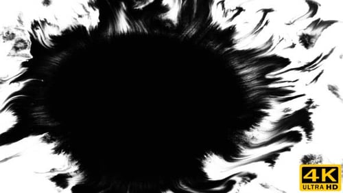 Inks Fast Flow From Center on Wet Paper 02