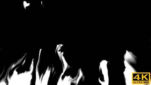 Ink Flowing From Top To Bottom on Wet Paper 07