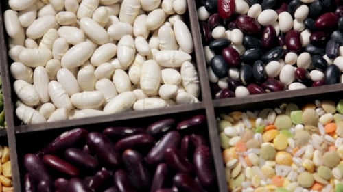 Assortment of Colorful Dried Beans and Lentils