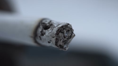 Smoldering Cigarette Burning with Ash in Close Up
