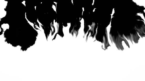 Ink Flowing From Top To Bottom on Wet Paper 03