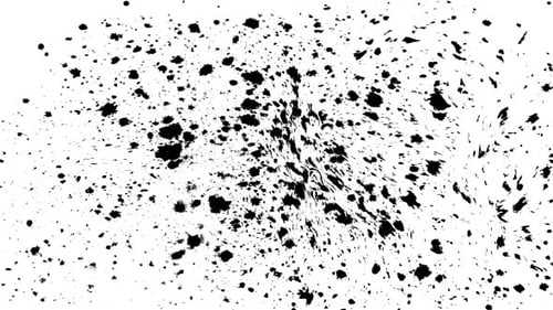 Organic Ink Splatter Reveal and Transition Effect