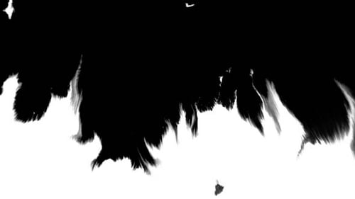 Ink Flowing From Top To Bottom on Wet Paper 06