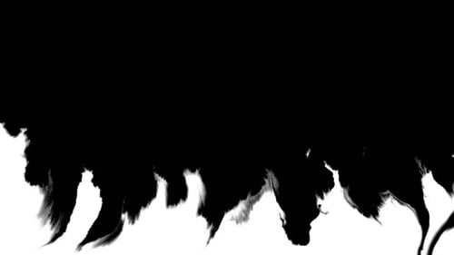 Ink Flowing From Top To Bottom on Wet Paper 04