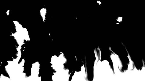 Ink Flowing From Top To Bottom on Wet Paper 05