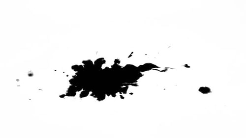 Organic Black Ink Bleed Reveal Transition