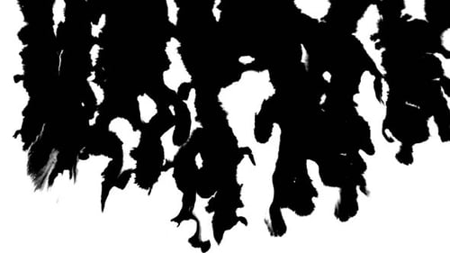 Ink Flowing From Top To Bottom on Wet Paper 02