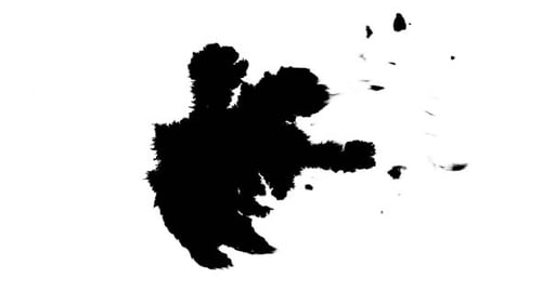 Dynamic Black Ink Reveal Transition