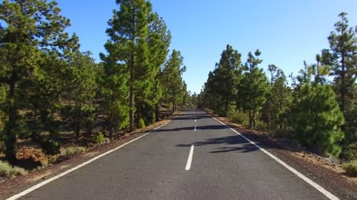 Estrada sobre nuvens e árvores nas montanhas do Teide em Tenerife