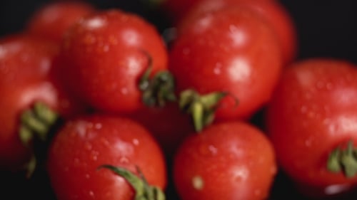 Fresh Tomatoes with Water Droplets Close Up