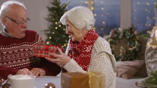 Senior Couple Exchanging Gifts for Christmas Holidays