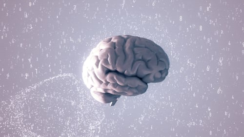 Animation des menschlichen Gehirns mit visuellen Effekten HD