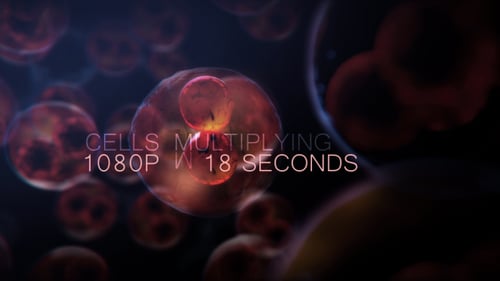 3D Cell Division Animation for Science and Medical Research