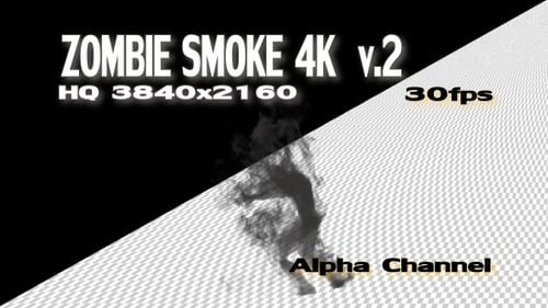 Abstract Humanoid Figure Emerges in Fluid Smoke Animation