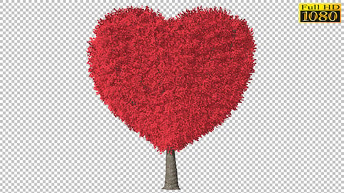 Schwankender Herzbaum